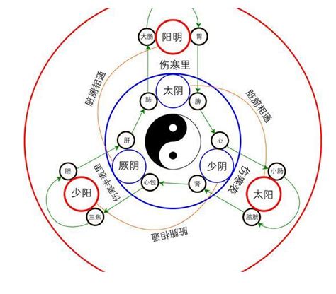 三陽三陰|三、經絡命名的原由